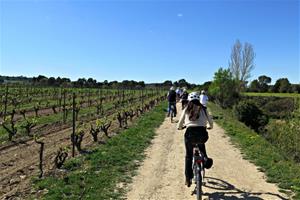 Bikemotions és una empresa de lloguer de bicicletes situada a Lavern-Subirats, que ofereix experiències de vi, natura i ciclisme. Bikemotions 