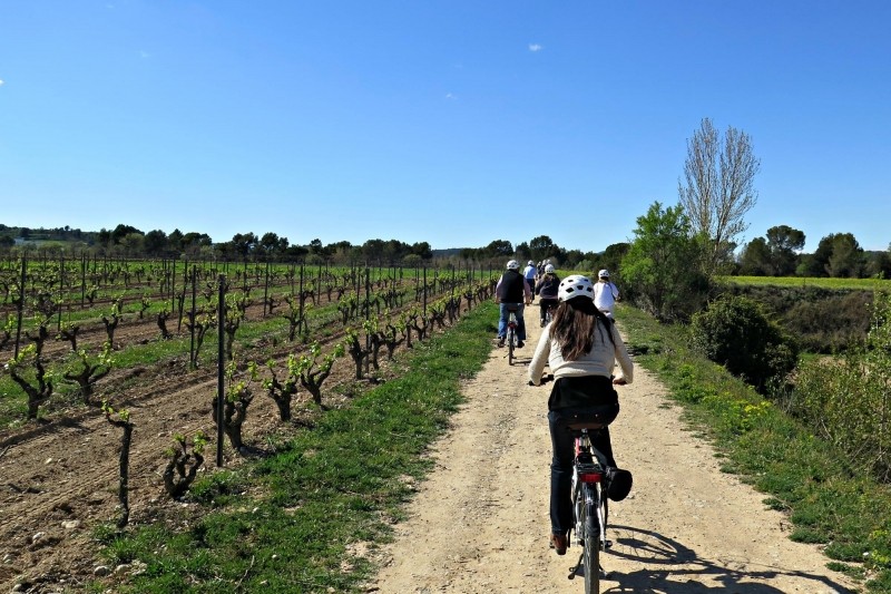 Bikemotions és una empresa de lloguer de bicicletes situada a Lavern-Subirats, que ofereix experiències de vi, natura i ciclisme. Bikemotions 