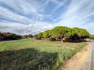 Calafell aprova la construcció de 110 pisos públics amb lloguer social. Ajuntament de Calafell