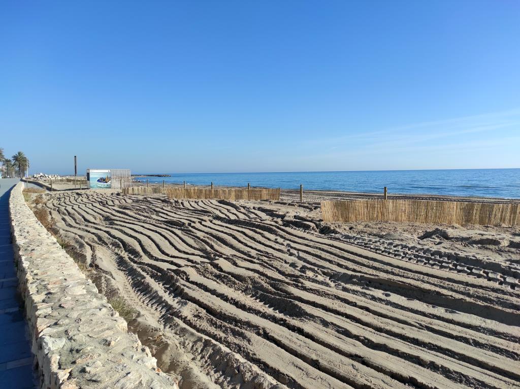Calafell planta 25.000 plantes per retenir sorra a les platges. Ajuntament de Calafell