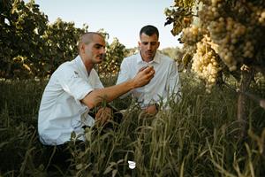 Cantina Viladellops debuta a la Fira del Gall de Vilafranca del Penedès. EIX