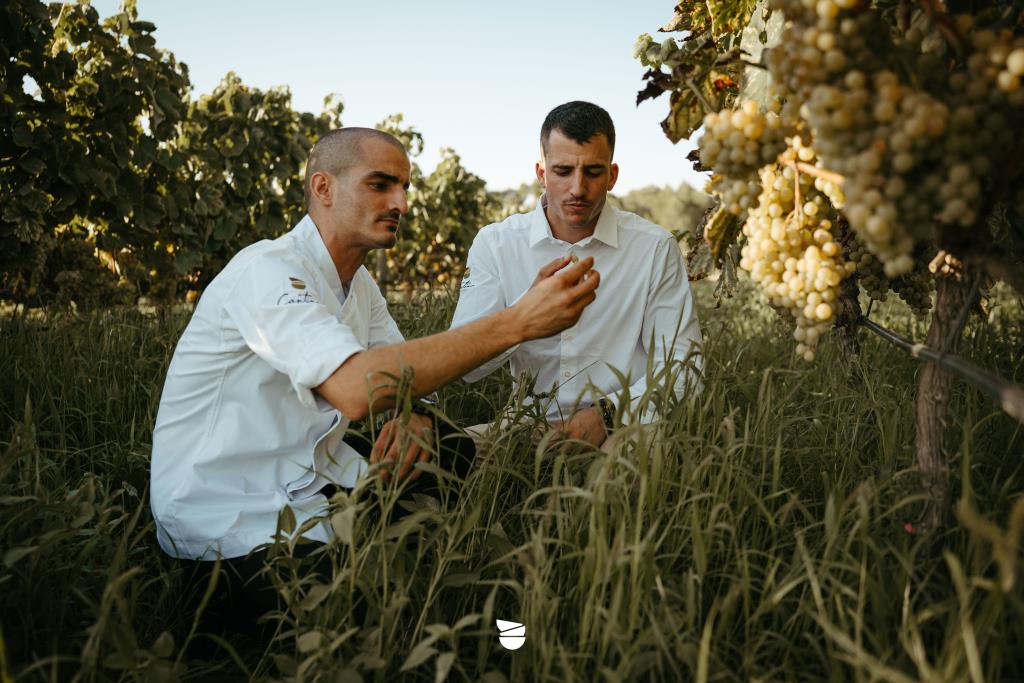 Cantina Viladellops debuta a la Fira del Gall de Vilafranca del Penedès. EIX