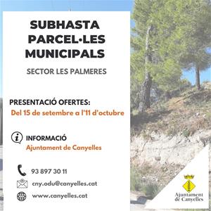 Canyelles treu a subhasta 54 parcel·les municipals de Les Palmeres. EIX