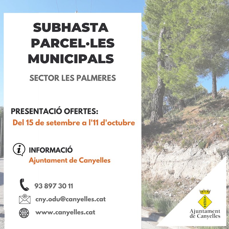 Canyelles treu a subhasta 54 parcel·les municipals de Les Palmeres. EIX