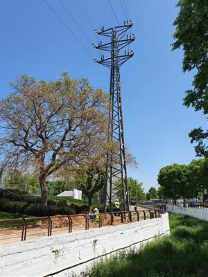 Comencen els treballs per eliminar les tres torres de mitja tensió a l’entrada de Les Roquetes