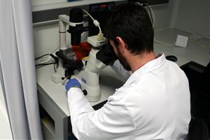 Confirmats 4 casos de verola del mico a Catalunya amb vinculació amb d’altres detectats a l’Estat. ACN