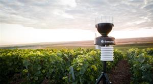 Crida als viticultors i cellers amb vinyes a l'Alt Penedès per sumar-se al projecte comarcal de monitorització meteorològica. CC Alt Penedès