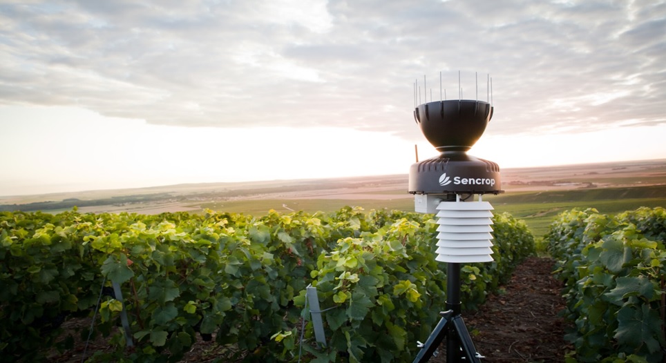 Crida als viticultors i cellers amb vinyes a l'Alt Penedès per sumar-se al projecte comarcal de monitorització meteorològica. CC Alt Penedès