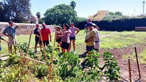 Cubelles obre les inscripcions per cultivar l’Hort de Can Travé. Ajuntament de Cubelles