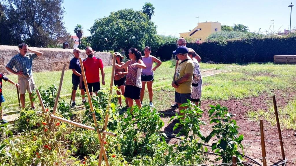 Cubelles obre les inscripcions per cultivar l’Hort de Can Travé. Ajuntament de Cubelles