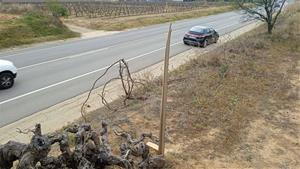 Desapareix la instal·lació 