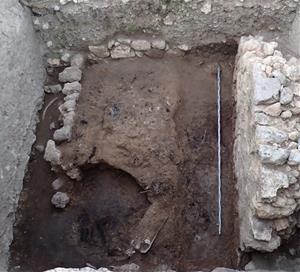 Descobreixen un nou crani únic de ritual ibèric a Olèrdola