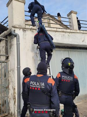 Detenen dos homes per cultivar 1.200 plantes de marihuana en una fàbrica de l'Anoia