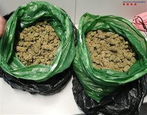 Detenen dues persones que transportaven tres quilograms de cabdells de marihuana a Sant Sadurní d’Anoia. Mossos d'Esquadra