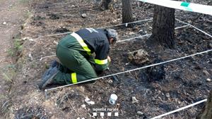 Detingut el presumpte autor de dos incendis forestals d'aquest juny al Massís del Garraf. Mossos d'Esquadra