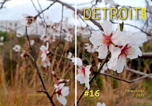 Detroit #16. Eix