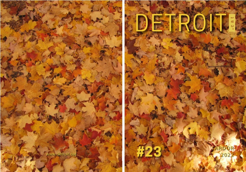 Detroit #23. Eix