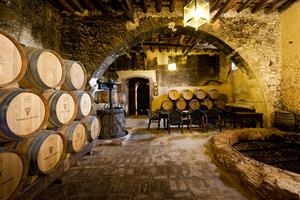 El celler de la Torre del Veguer elabora vins amb raïm propi i ecològic, veremat a mà, sota la filosofia de mínima intervenció 
