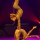 El+Circ+Raluy+Legacy+presenta+a+Vilanova+el+seu+nou+espectacle+%22In+Art+we+trust%22