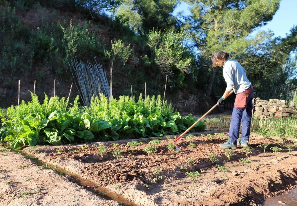 El Col·lectiu Eixarcolant inicia un projecte per facilitar parcel·les d’hort a persones que el vulguin cultivar i dinamitzar-hi activitats. EIX