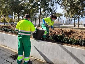 El govern de Vilanova aprovarà dilluns vinent la licitació del nou servei de jardineria. Ajuntament de Vilanova