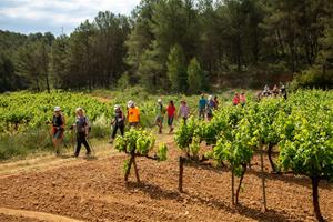 El Microvi torna a omplir d’actes la primavera a Avinyonet del Penedès