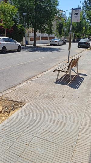 El passat dia 11 de juliol, sense cap advertiment, treballadors de l’Ajuntament de Vilanova van procedir a la tala de 14 til·lers