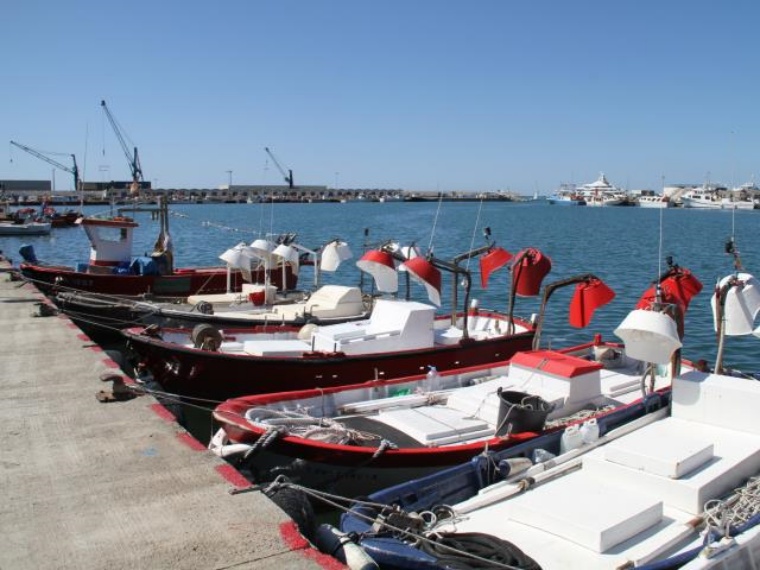 El ple de Vilanova expressa el seu suport unànime al sector de la pesca, que tem per la seva supervivència. Ajuntament de Vilanova
