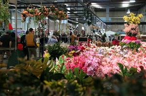 Elements naturals, llums led i estrelles guanyen terreny en les decoracions nadalenques d'aquest any