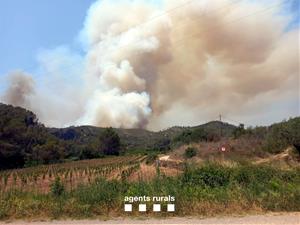 Els Bombers esperen poder tenir estabilitzats la majoria de focs aquest diumenge al matí. ACN