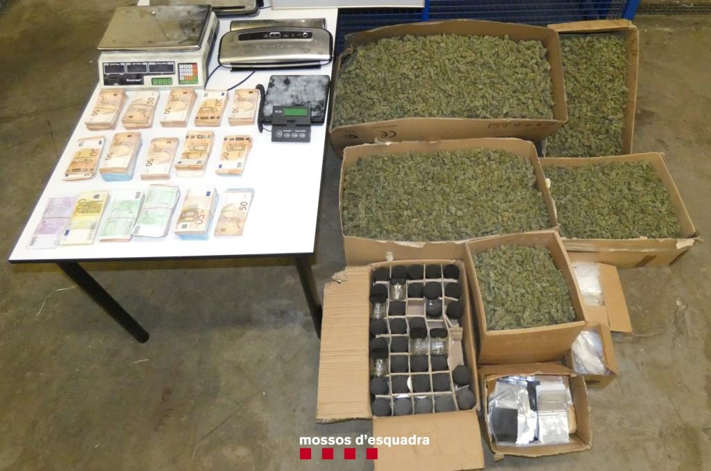 Entra a presó un home que tenia un magatzem a Igualada com a punt de distribució de marihuana. Mossos d'Esquadra