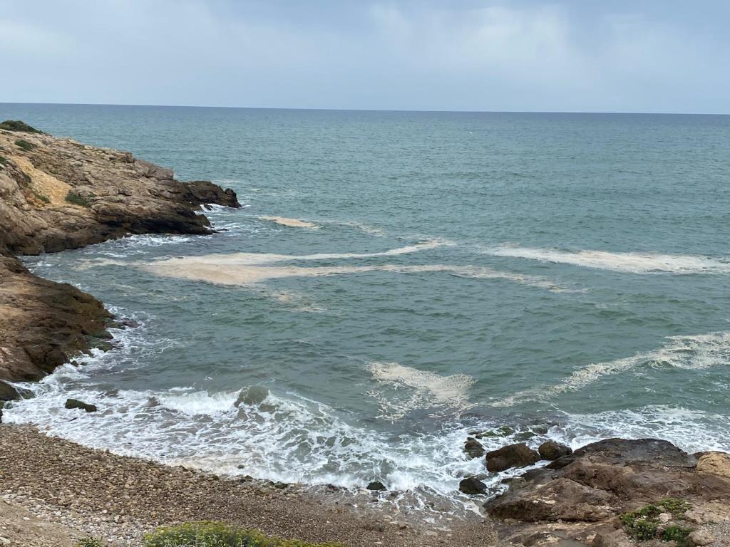 Escuma d'origen orgànic tenyeix el litoral del Garraf després de les darreres pluges. Pere Moya