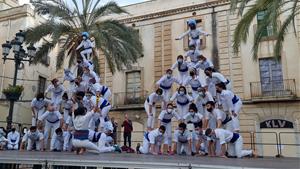 Exhibició de solvència dels Falcons de Vilanova en la diada de Sant Jordi