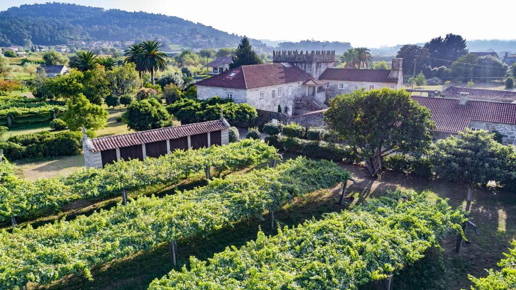 Família Torres compra l'antic celler Valdamor, a Pontevedra. ACN