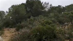 Fortes glaçades a l'interior i neu al massís del Garraf en plena primavera. EIX