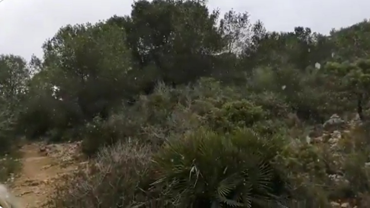 Fortes glaçades a l'interior i neu al massís del Garraf en plena primavera. EIX