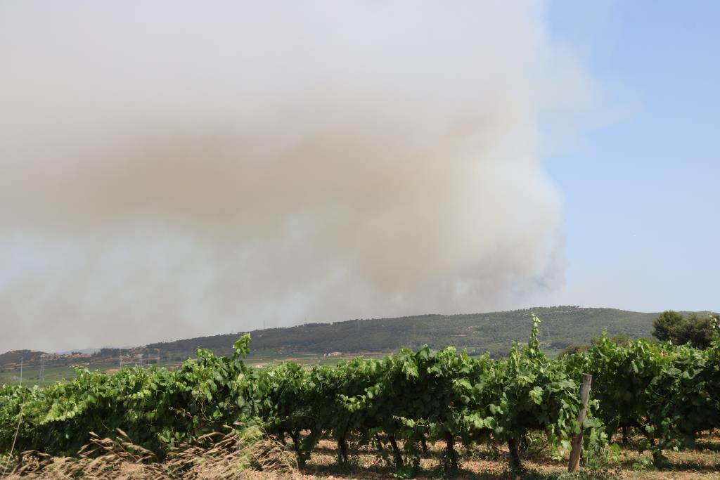 Imatge de l'incendi forestal d'Olivella. ACN