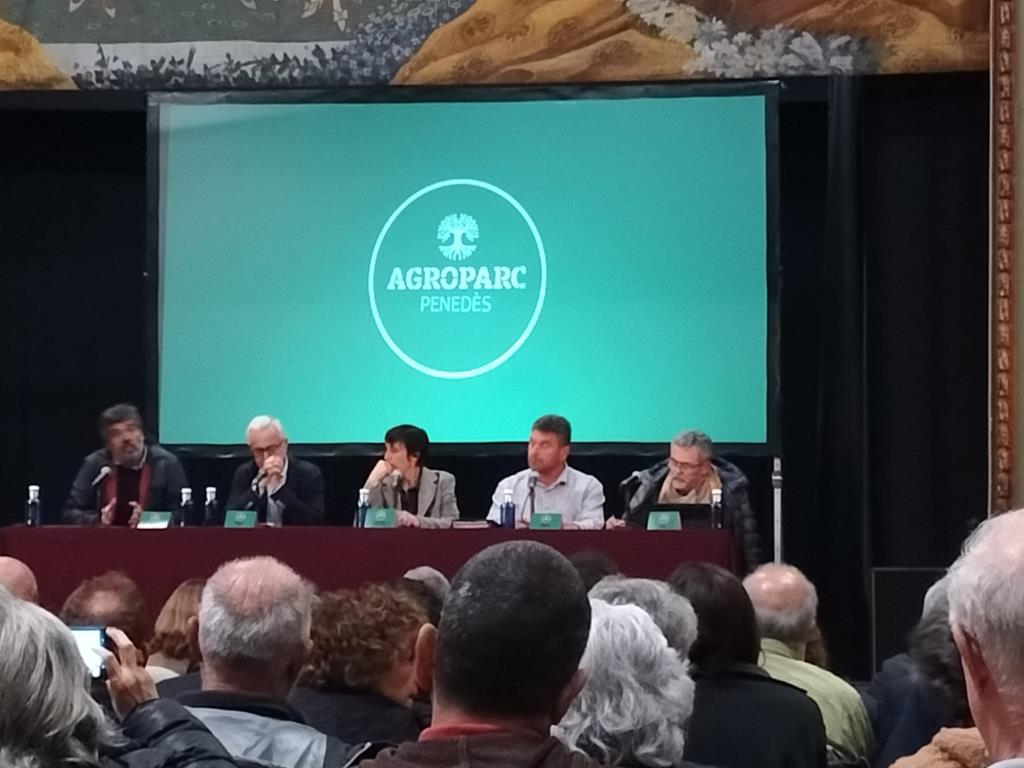 Imatge del debat sobre l'Agroparc a Gelida. Eix