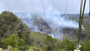 Incendi a la zona de Can Pere de la Plana