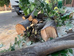 Indignació al barri de Ribes Roges per una tala d'arbres que consideren 