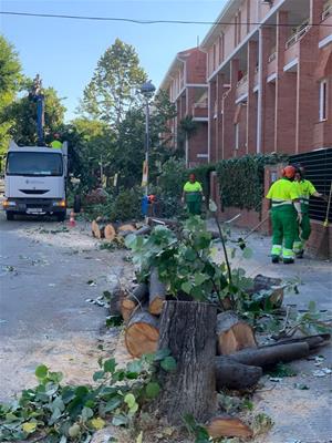 Indignació al barri de Ribes Roges per una tala d'arbres que consideren 