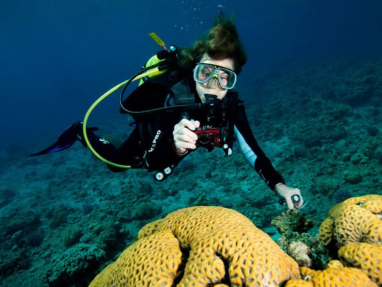 La investigadora ha passat més de 7.500 hores sota l'aigua observant l'estat de la fauna i la flora dels oceans. © Susan Middleton