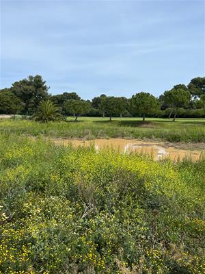La naturalització de la riera de Ribes 