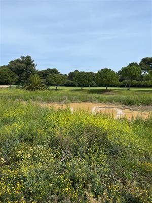 La naturalització de la riera de Ribes 