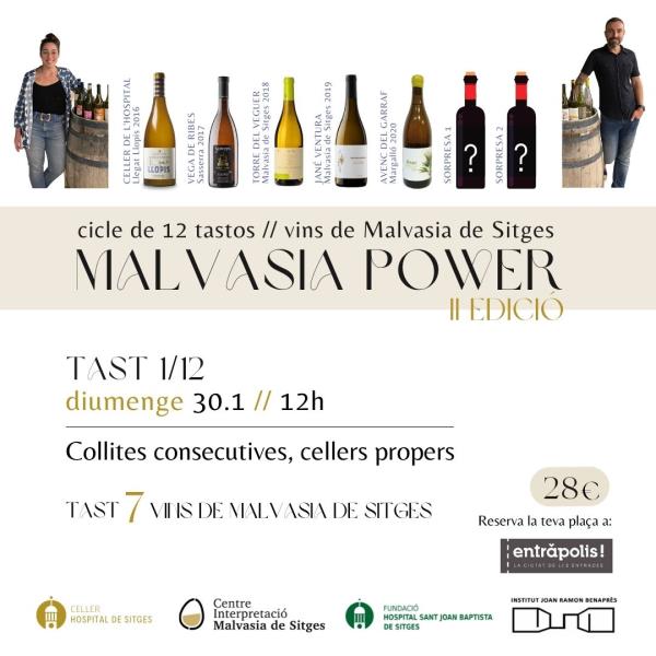 La segona edició del Malvasia Power es marca ampliar cellers i públic. EIX