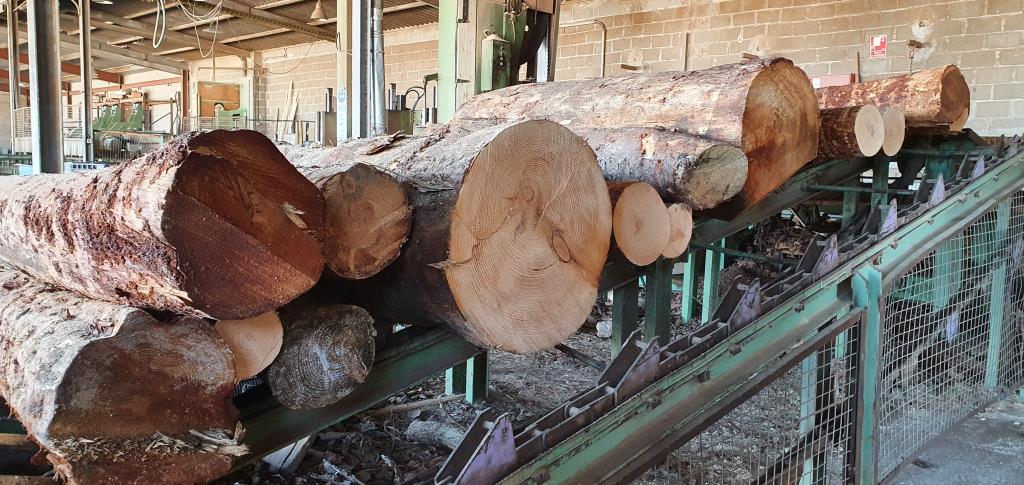 La serradora Campamà atura la producció per sumar-se a la crida d’ARESCAT. Serradora Campamà