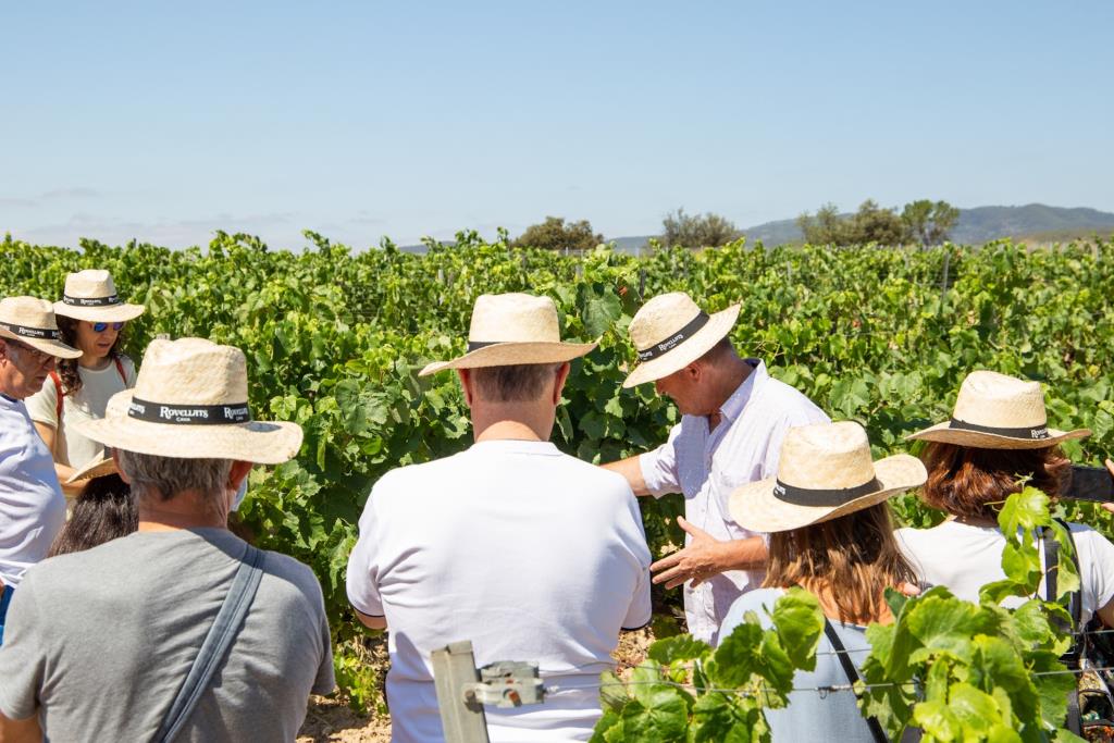 La setena edició de La Verema del Cava suma setze activitats enoturístiques, xifra rècord. ACN