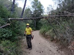 L’ADF Clot de Bou posa en marxa una campanya de captació de voluntaris i voluntàries