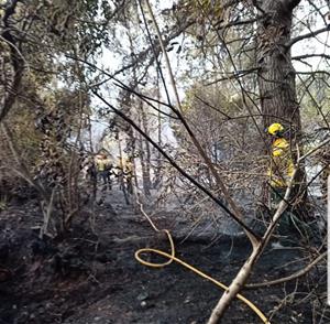 L’ADF Clot de Bou posa en marxa una campanya de captació de voluntaris i voluntàries