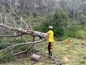 L'ADF de Sant Pere de Ribes comencen les tasques de neteja del bosc per evitar incendis. Susana Nogueira